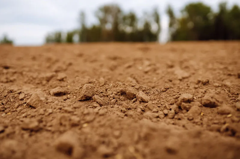 fluorogypsum application soil improvement​